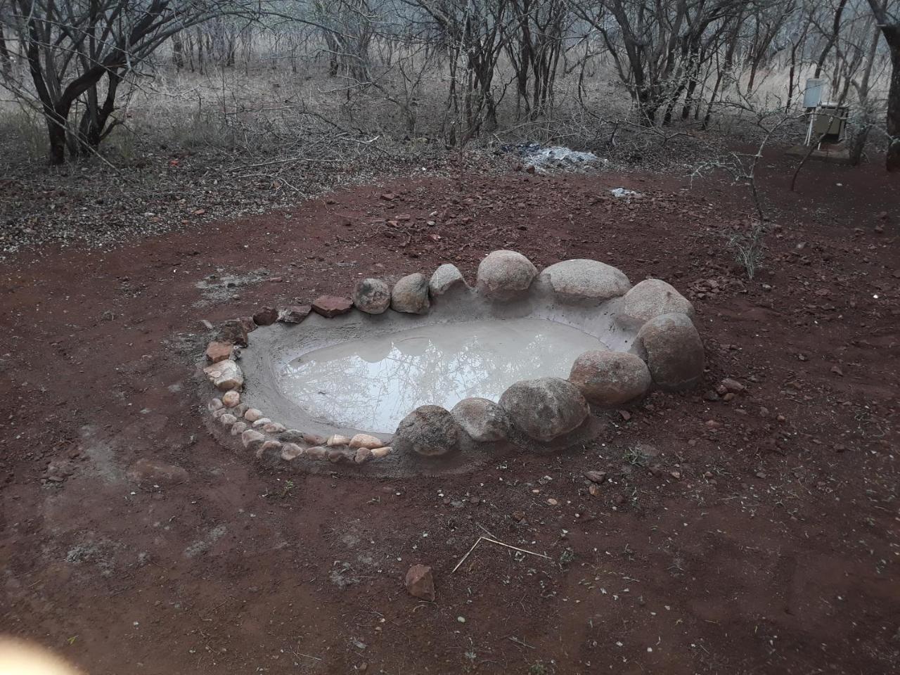 Little Bush Baby Βίλα Marloth Park Εξωτερικό φωτογραφία